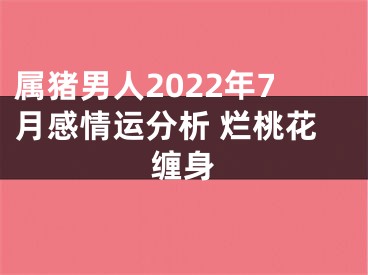 属猪男人2022年7月感情运分析 烂桃花缠身