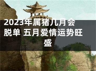 2023年属猪几月会脱单 五月爱情运势旺盛