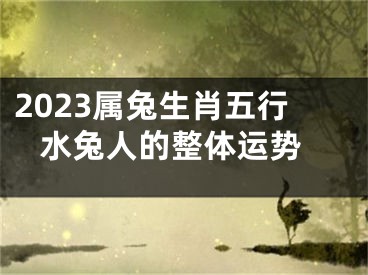 2023属兔生肖五行 水兔人的整体运势