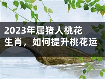 2023年属猪人桃花生肖，如何提升桃花运