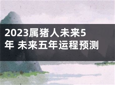 2023属猪人未来5年 未来五年运程预测