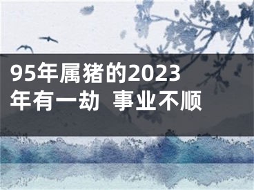 95年属猪的2023年有一劫  事业不顺