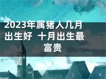 2023年属猪人几月出生好  十月出生最富贵