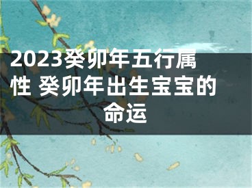 2023癸卯年五行属性 癸卯年出生宝宝的命运