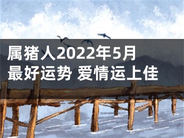 属猪人2022年5月最好运势 爱情运上佳