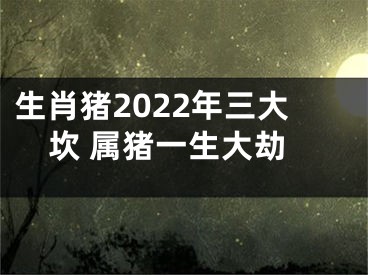 生肖猪2022年三大坎 属猪一生大劫