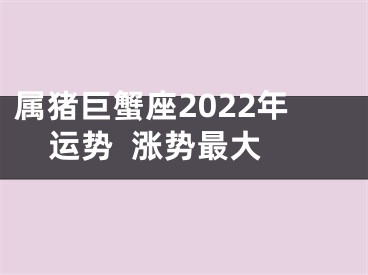 属猪巨蟹座2022年运势  涨势最大