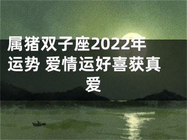 属猪双子座2022年运势 爱情运好喜获真爱