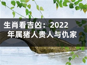 生肖看吉凶：2022年属猪人贵人与仇家