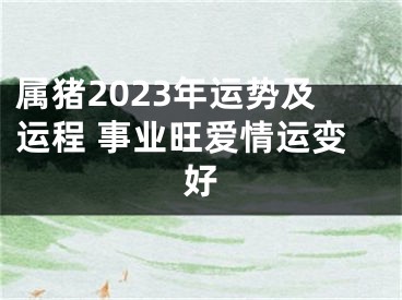 属猪2023年运势及运程 事业旺爱情运变好