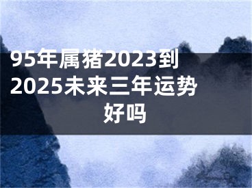 95年属猪2023到2025未来三年运势好吗