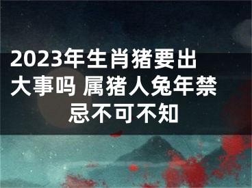 2023年生肖猪要出大事吗 属猪人兔年禁忌不可不知