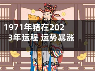 1971年猪在2023年运程 运势暴涨