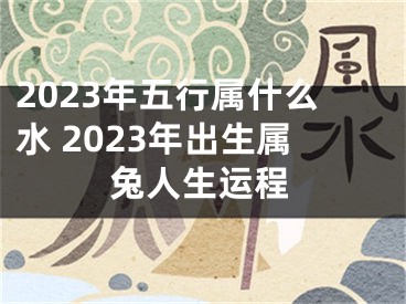 2023年五行属什么水 2023年出生属兔人生运程