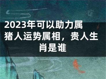 2023年可以助力属猪人运势属相，贵人生肖是谁