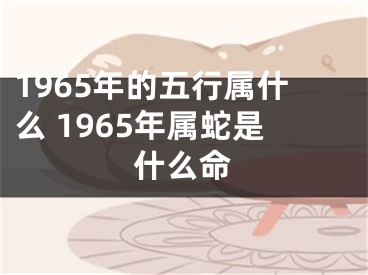 1965年的五行属什么 1965年属蛇是什么命