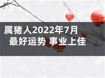 属猪人2022年7月最好运势 事业上佳