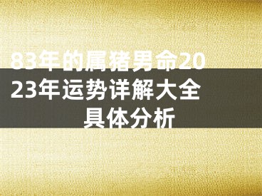 83年的属猪男命2023年运势详解大全 具体分析