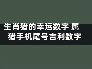 生肖猪的幸运数字 属猪手机尾号吉利数字