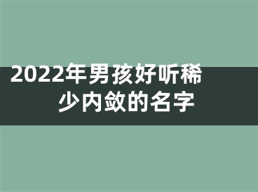 2022年男孩好听稀少内敛的名字