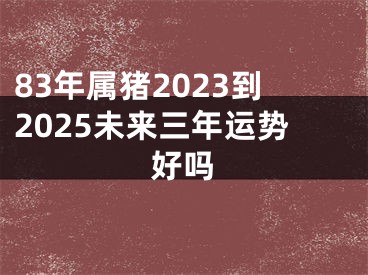 83年属猪2023到2025未来三年运势好吗