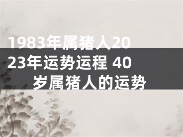 1983年属猪人2023年运势运程 40岁属猪人的运势