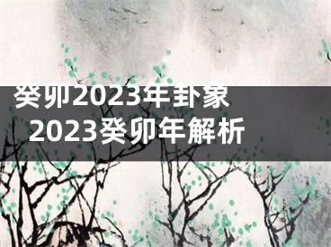 癸卯2023年卦象 2023癸卯年解析