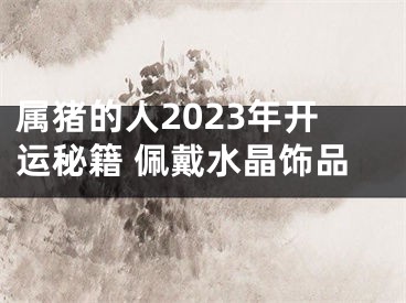 属猪的人2023年开运秘籍 佩戴水晶饰品