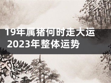 19年属猪何时走大运 2023年整体运势