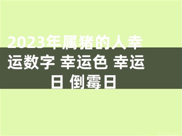 2023年属猪的人幸运数字 幸运色 幸运日 倒霉日