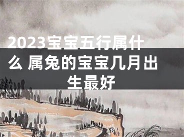 2023宝宝五行属什么 属兔的宝宝几月出生最好