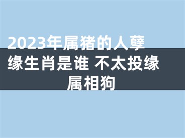 2023年属猪的人孽缘生肖是谁 不太投缘属相狗