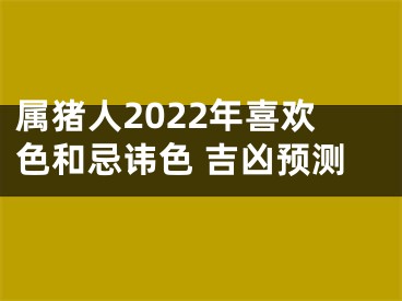 属猪人2022年喜欢色和忌讳色 吉凶预测