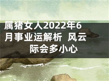 属猪女人2022年6月事业运解析  风云际会多小心