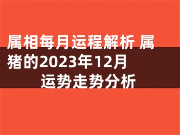 属相每月运程解析 属猪的2023年12月运势走势分析