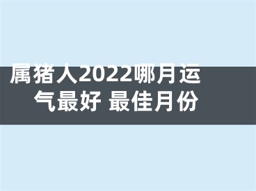 属猪人2022哪月运气最好 最佳月份