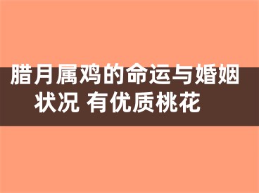 腊月属鸡的命运与婚姻状况 有优质桃花