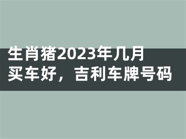 生肖猪2023年几月买车好，吉利车牌号码