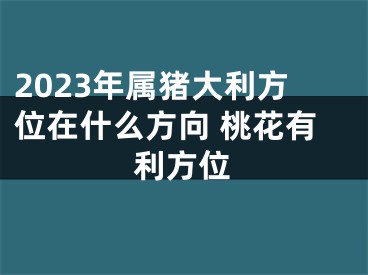 2023年属猪大利方位在什么方向 桃花有利方位