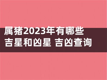 属猪2023年有哪些吉星和凶星 吉凶查询