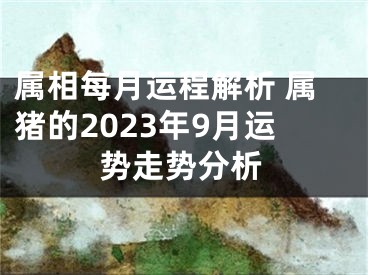 属相每月运程解析 属猪的2023年9月运势走势分析