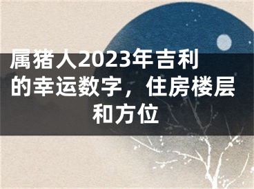 属猪人2023年吉利的幸运数字，住房楼层和方位