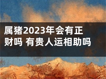 属猪2023年会有正财吗 有贵人运相助吗