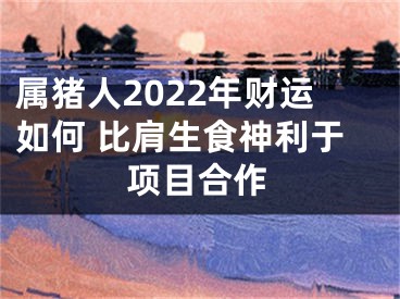 属猪人2022年财运如何 比肩生食神利于项目合作