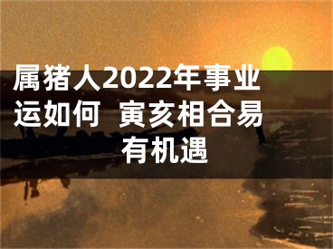 属猪人2022年事业运如何  寅亥相合易有机遇