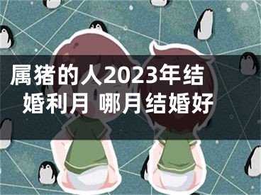 属猪的人2023年结婚利月 哪月结婚好