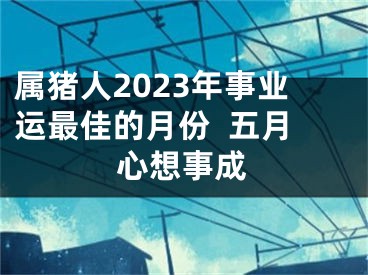 属猪人2023年事业运最佳的月份  五月心想事成