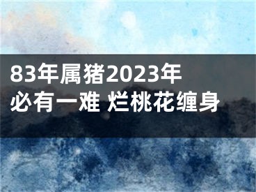 83年属猪2023年必有一难 烂桃花缠身