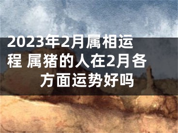 2023年2月属相运程 属猪的人在2月各方面运势好吗