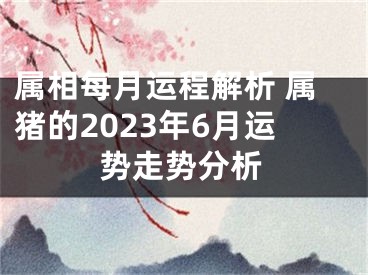 属相每月运程解析 属猪的2023年6月运势走势分析